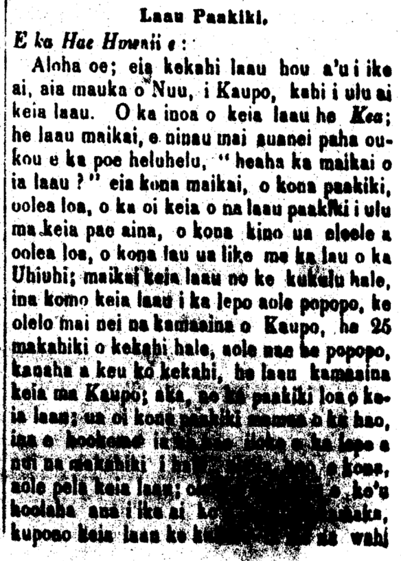Laau Paakiki.