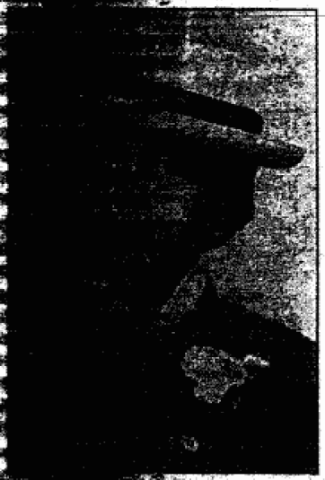 EDWARD K. LILIKALANI (online)