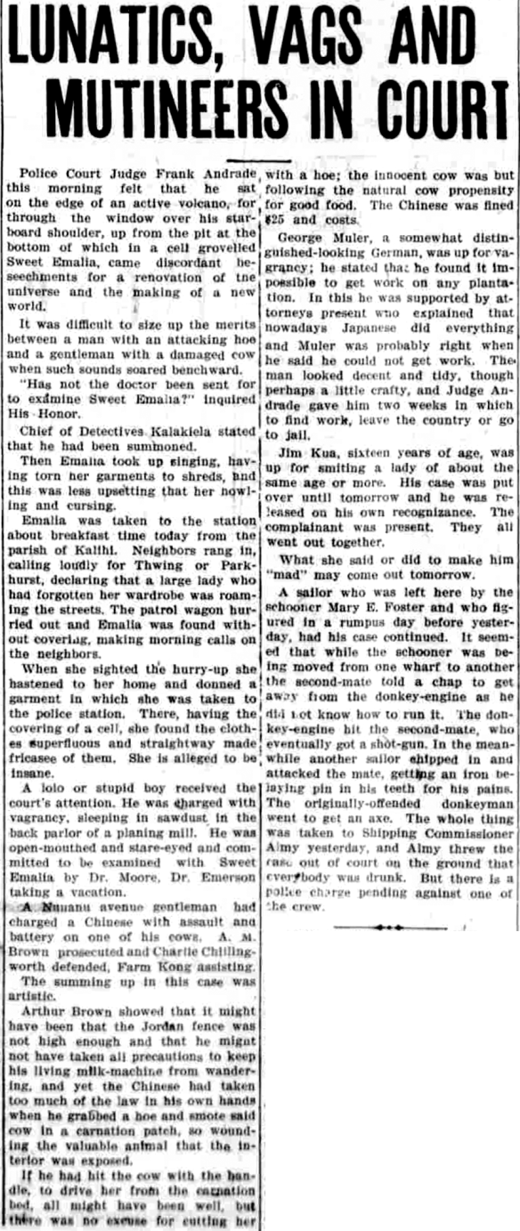 LUNATICS, VAGS AND MUTINEERS IN COURT