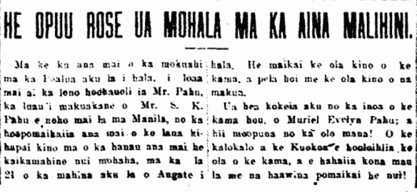 HE OPUU ROSE UA MOHALA MA KA AINA MALIHINI.