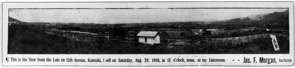 This is the view from the Lots...