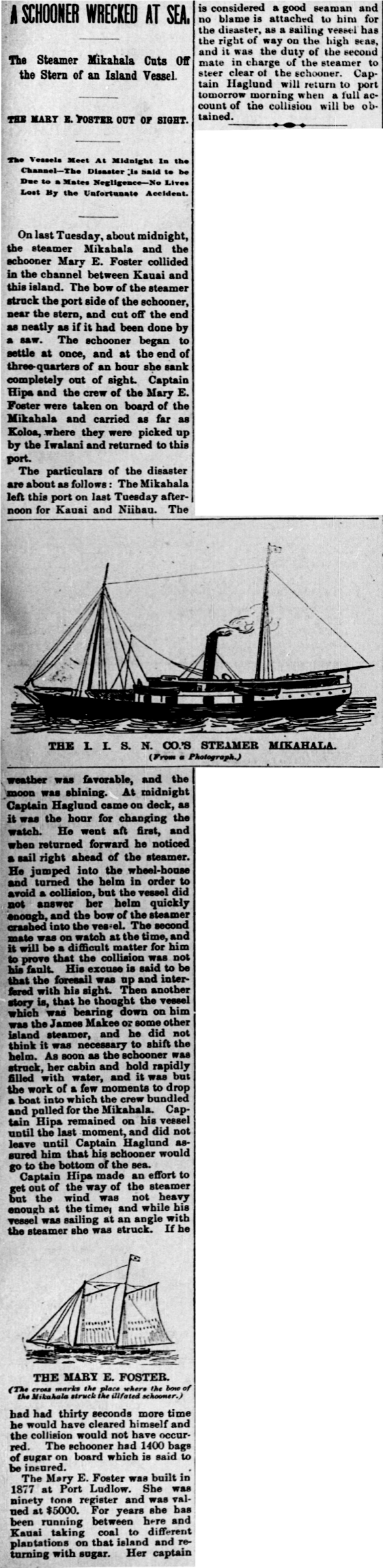 A SCHOONER WRECKED AT SEA.