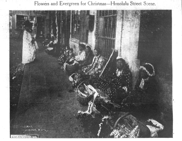 Flowers and Evergreen for Christmas...