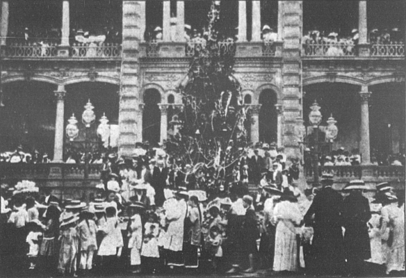 THE MALIHINI CHRISTMAS TREE.