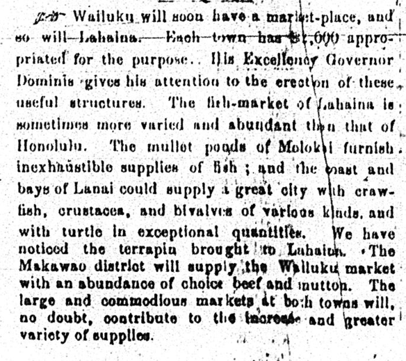 Wailuku will soon have a market-place...