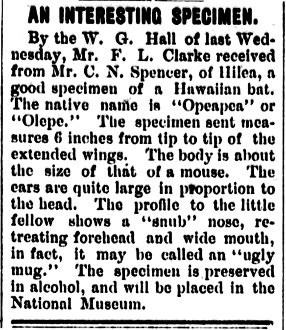 AN INTERESTING SPECIMEN.