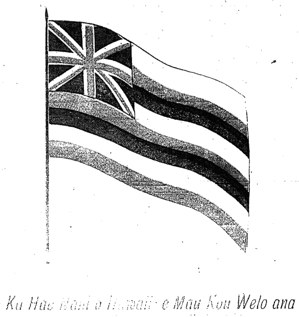 Ka Hae Nani o Hawaii...