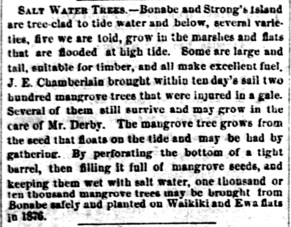 HawaiianGazette_3_22_1876_2.png