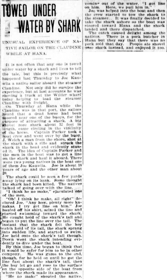 HawaiianStar_3_31_1903_8