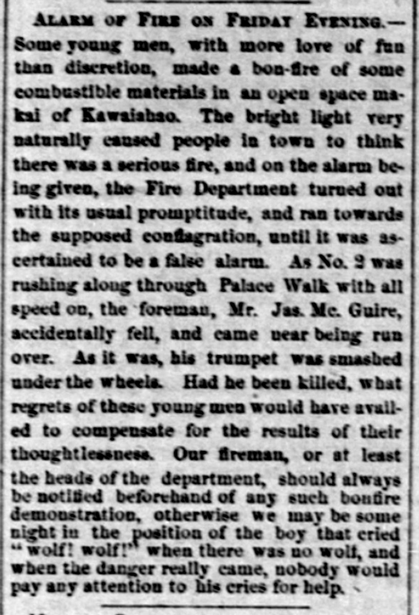 HawaiianGazette_12_16_1868_3.png