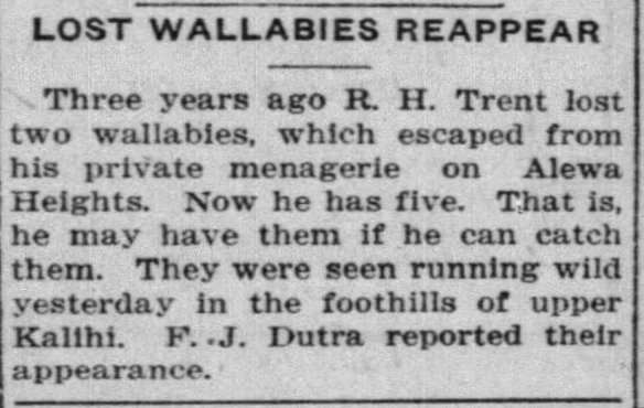 StarBulletin_5_15_1920_4