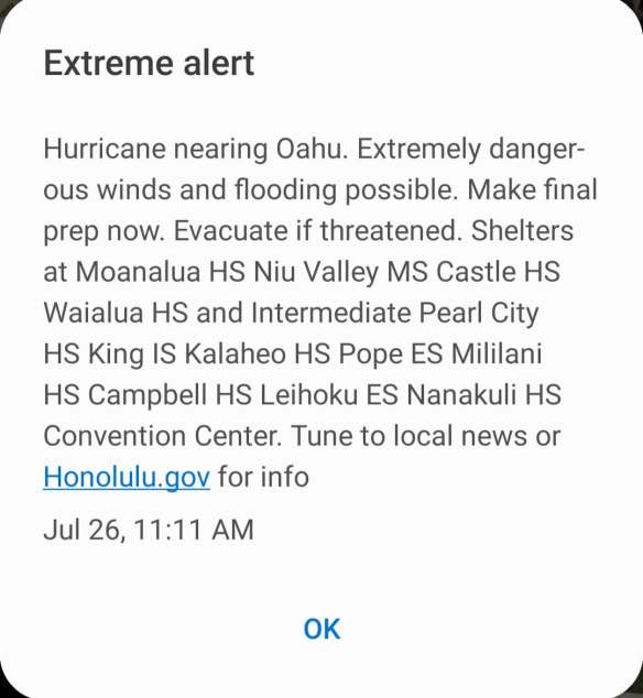 116431267_306619543817408_8957545362335939239_n